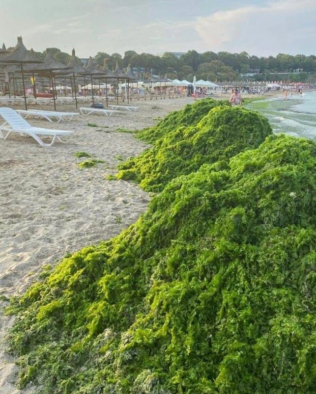 302476717_406645641594975_5781693392136323786_n - Jurnalul Olteniei – Știri din Craiova și Oltenia