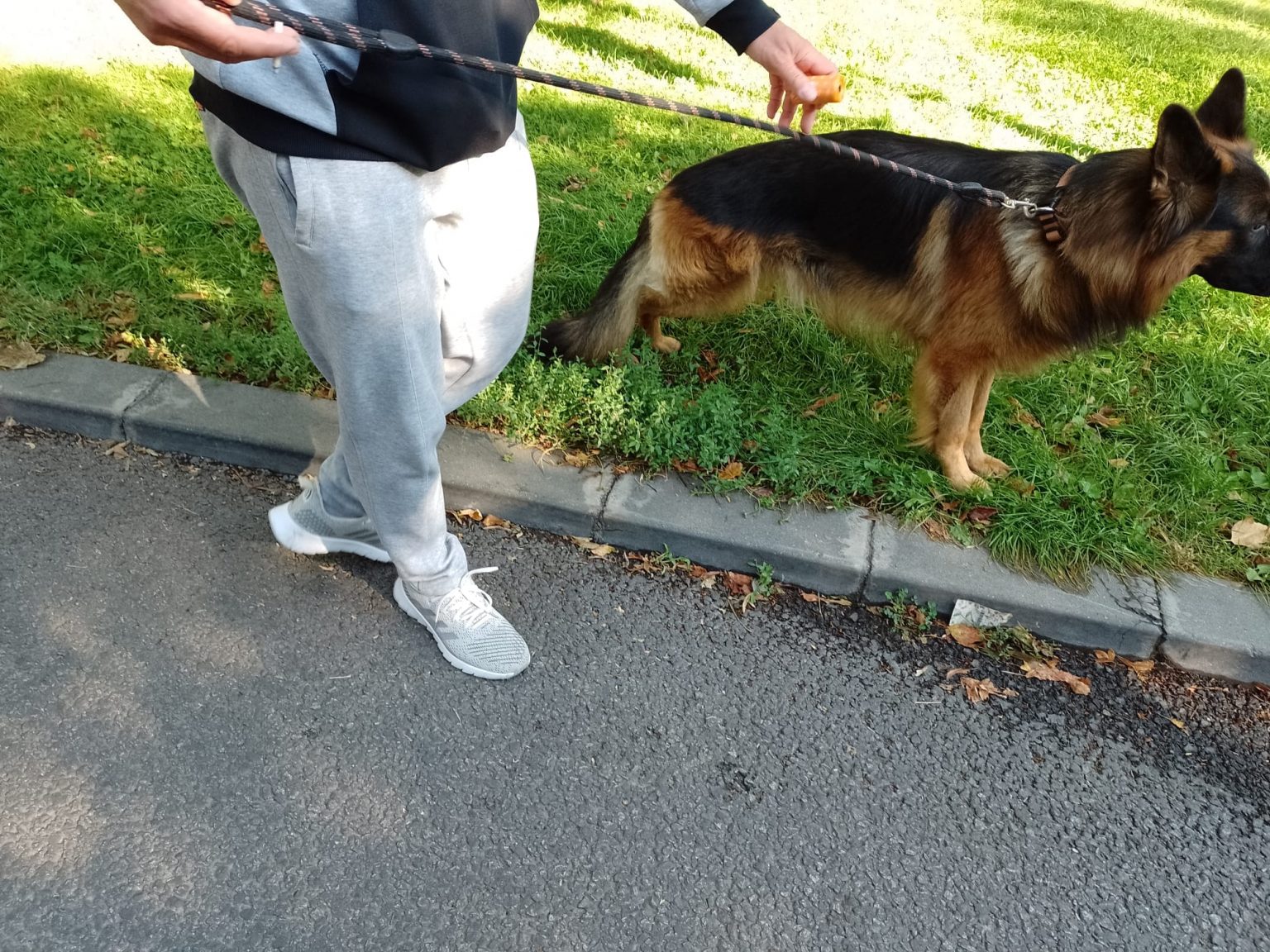 308503256_424799973116889_4456934124902462201_n - Jurnalul Olteniei – Știri din Craiova și Oltenia