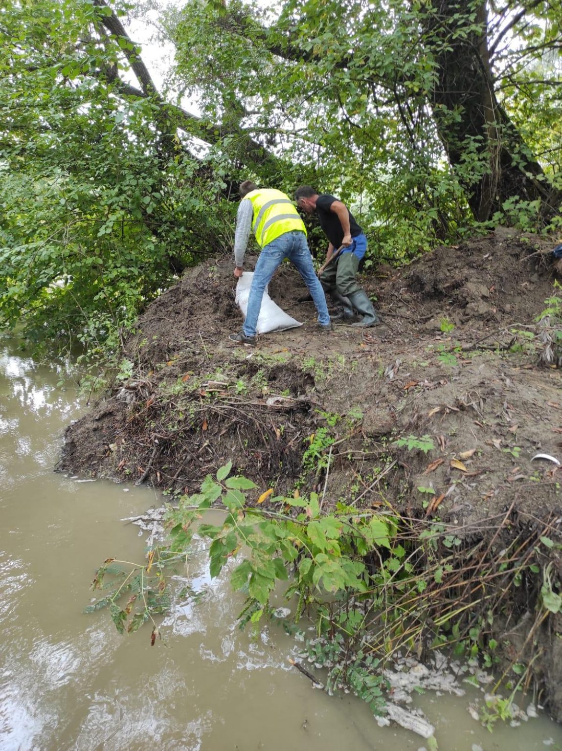 7db75c7a-7fc9-4d0f-8259-ea4303d1f7d4 - Jurnalul Olteniei – Știri din Craiova și Oltenia