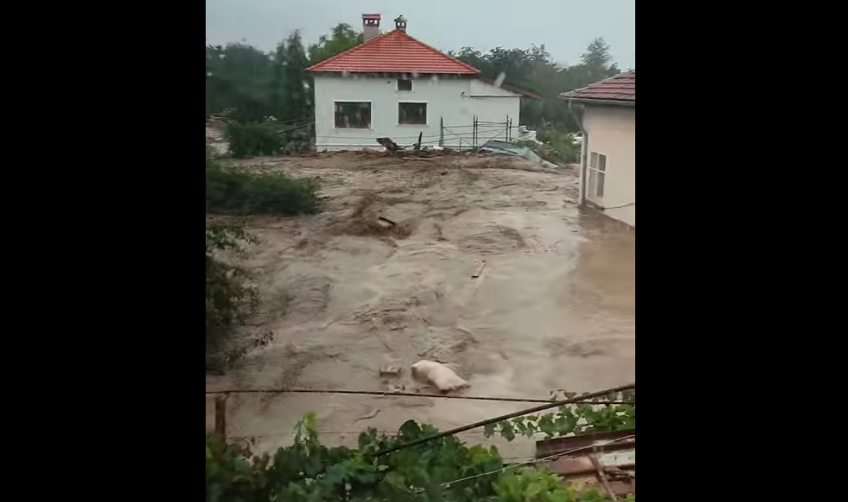 bulgaria - Jurnalul Olteniei – Știri din Craiova și Oltenia