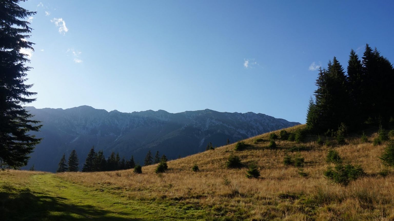 21273134_114040362596929_1551316691013563659_o - Jurnalul Olteniei – Știri din Craiova și Oltenia