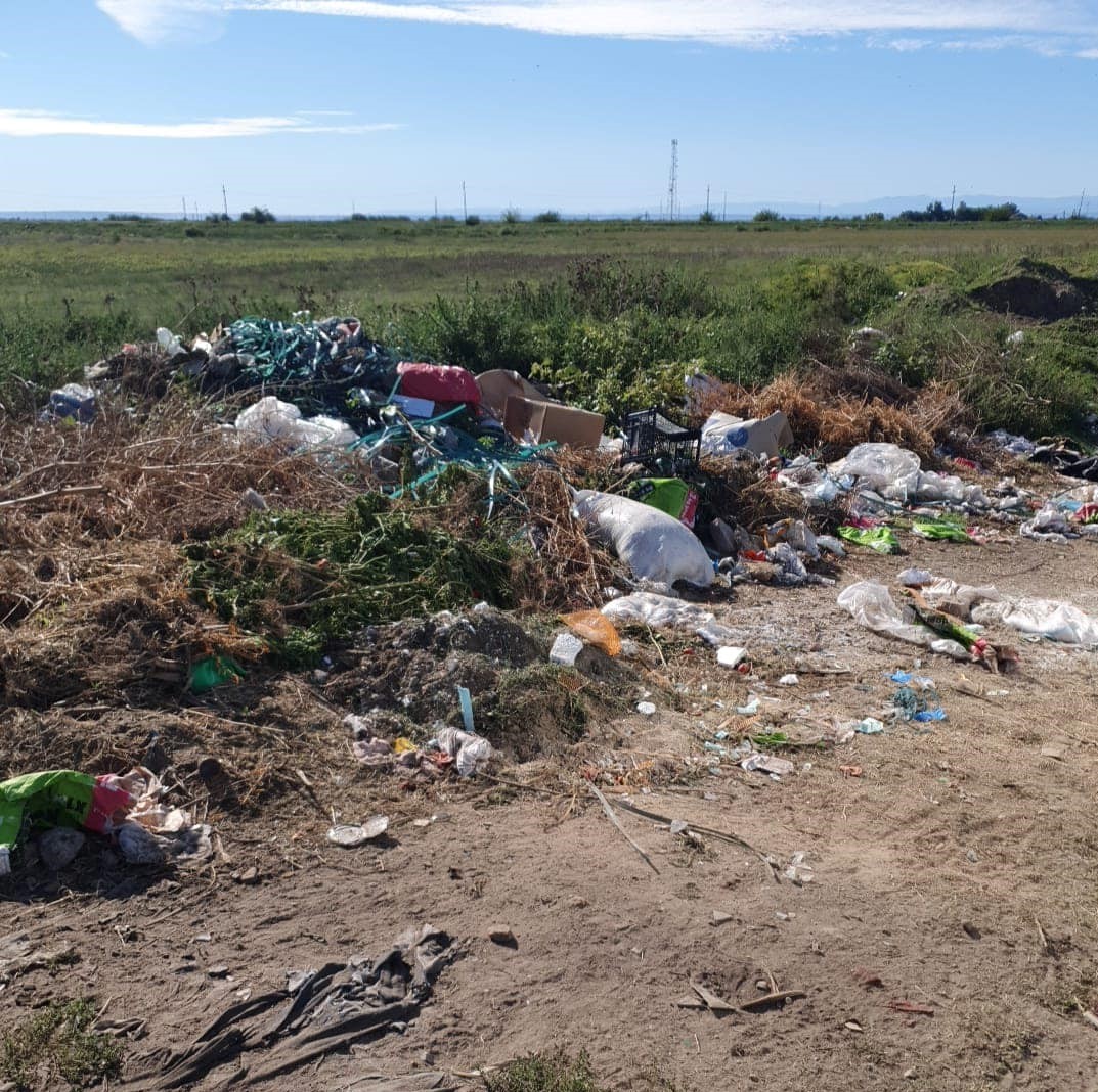 310269671_469518725209415_99333120586267635_n - Jurnalul Olteniei – Știri din Craiova și Oltenia