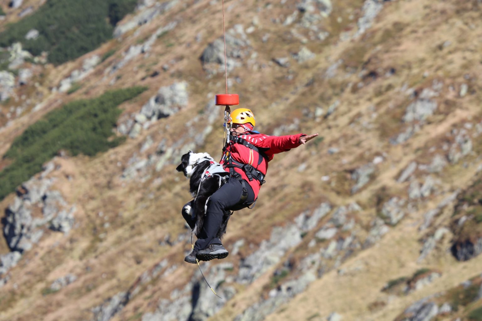311284992_6399399623420101_2272932875170816726_n - Jurnalul Olteniei – Știri din Craiova și Oltenia