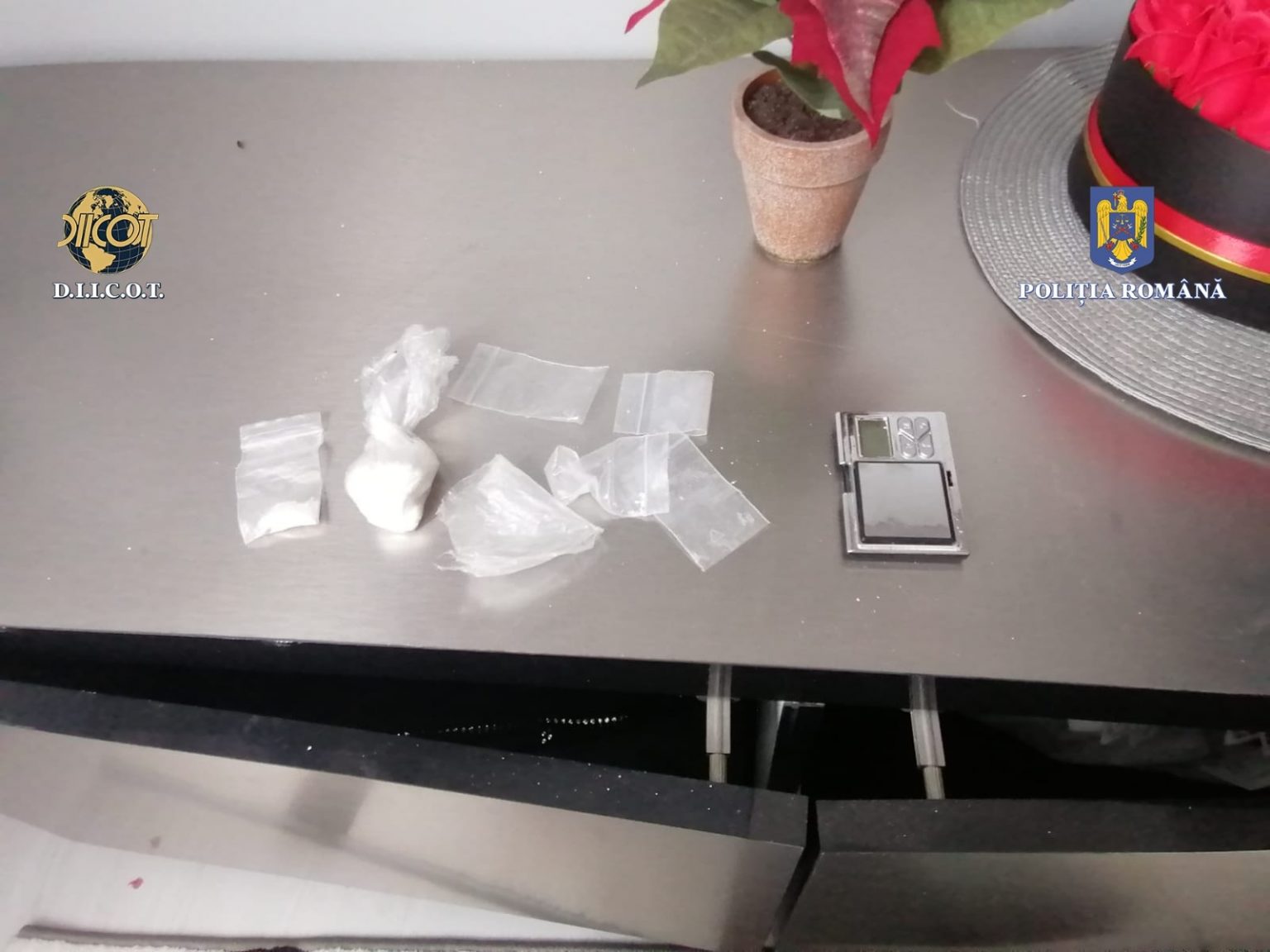 b1aa1a10-133f-4c30-a2b2-3c13c5dae1ab - Jurnalul Olteniei – Știri din Craiova și Oltenia