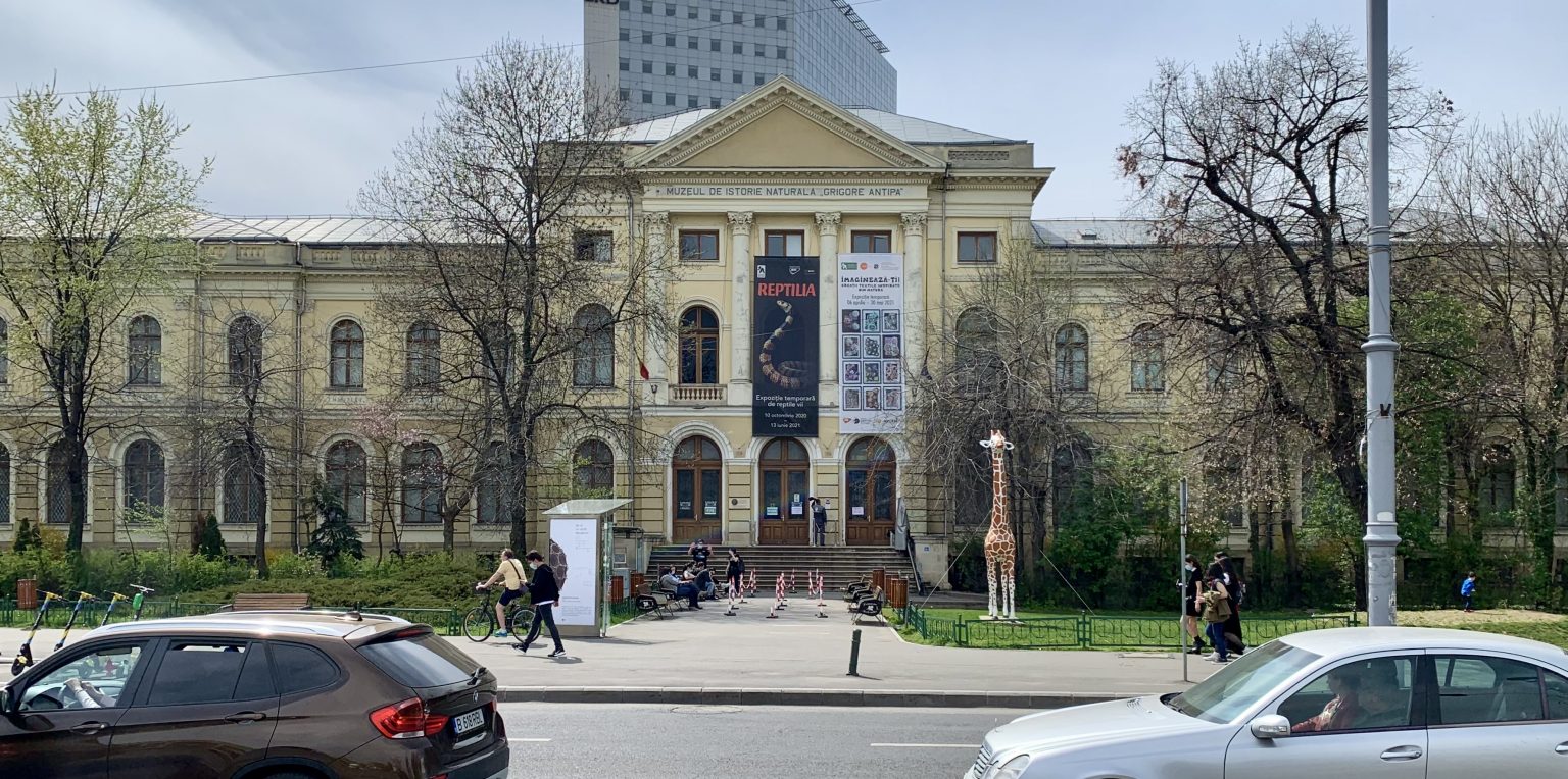 muzeu - Jurnalul Olteniei – Știri din Craiova și Oltenia muzeu