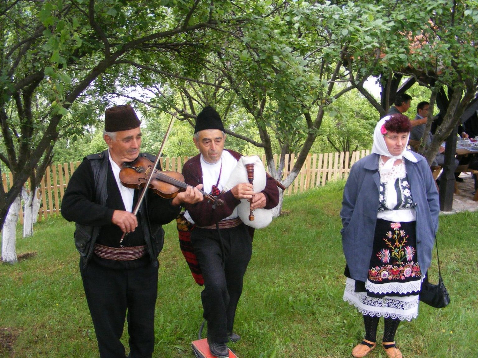 muzica populara - Jurnalul Olteniei – Știri din Craiova și Oltenia