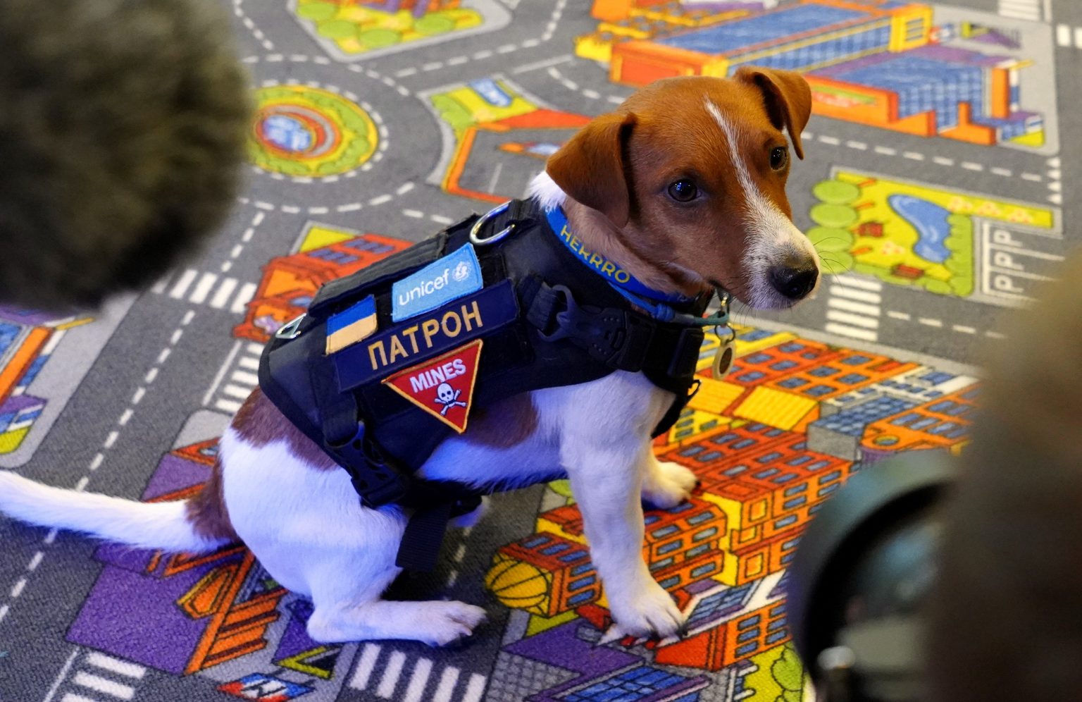 Fh_9H7LWYAAu6n1 - Jurnalul Olteniei – Știri din Craiova și Oltenia