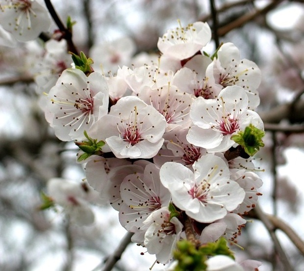 88 - Jurnalul Olteniei – Știri din Craiova și Oltenia