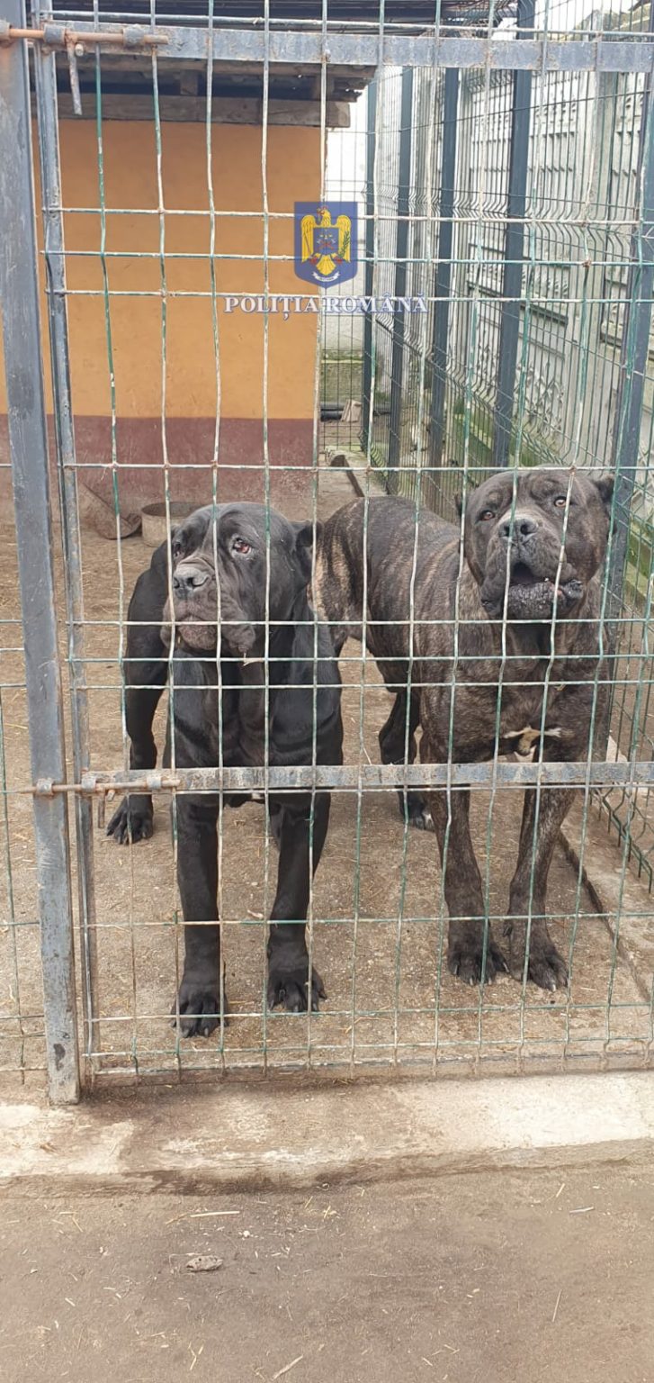 WhatsApp Image 2023-02-26 at 12.10.11 - Jurnalul Olteniei – Știri din Craiova și Oltenia