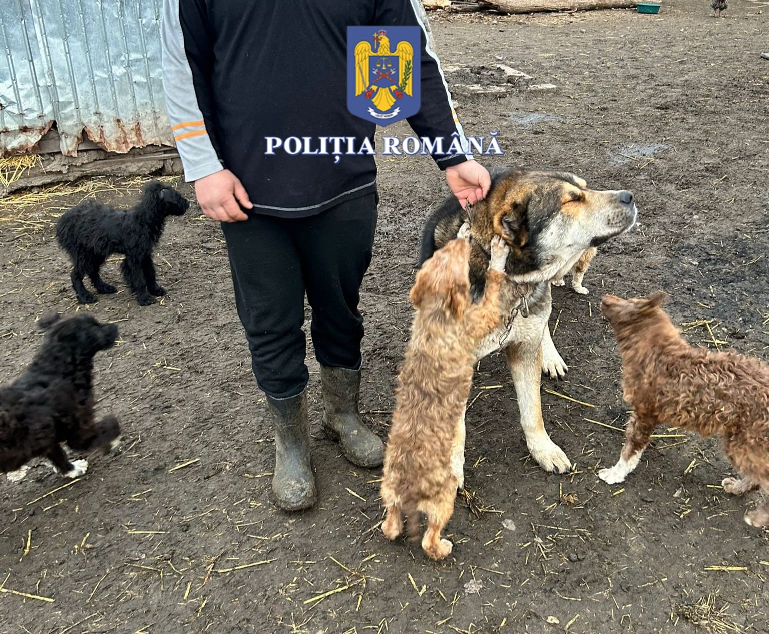 WhatsApp Image 2023-03-18 at 15.54.49 - Jurnalul Olteniei – Știri din Craiova și Oltenia