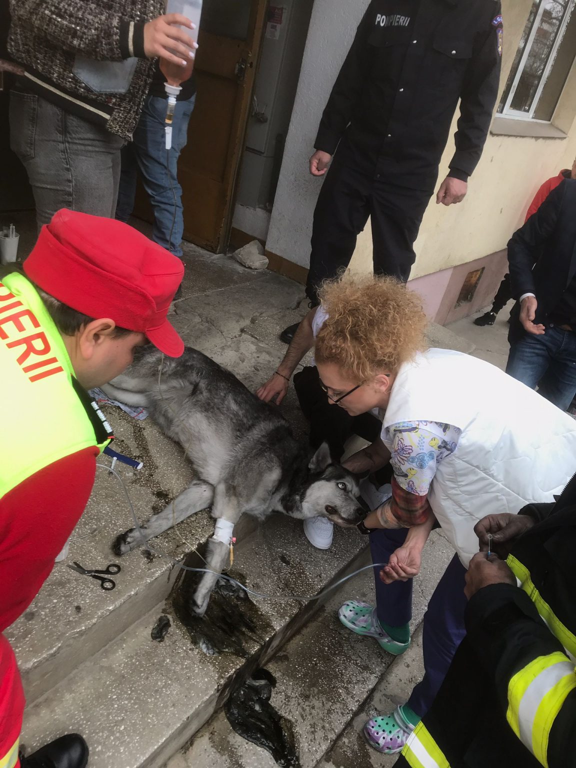 WhatsApp Image 2023-03-21 at 16.39.49 - Jurnalul Olteniei – Știri din Craiova și Oltenia