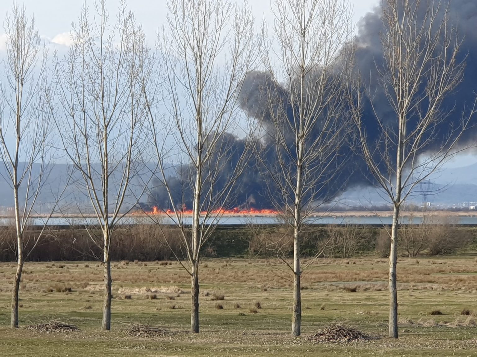 a34b5756-4d4c-484e-8101-827708dea1aa - Jurnalul Olteniei – Știri din Craiova și Oltenia