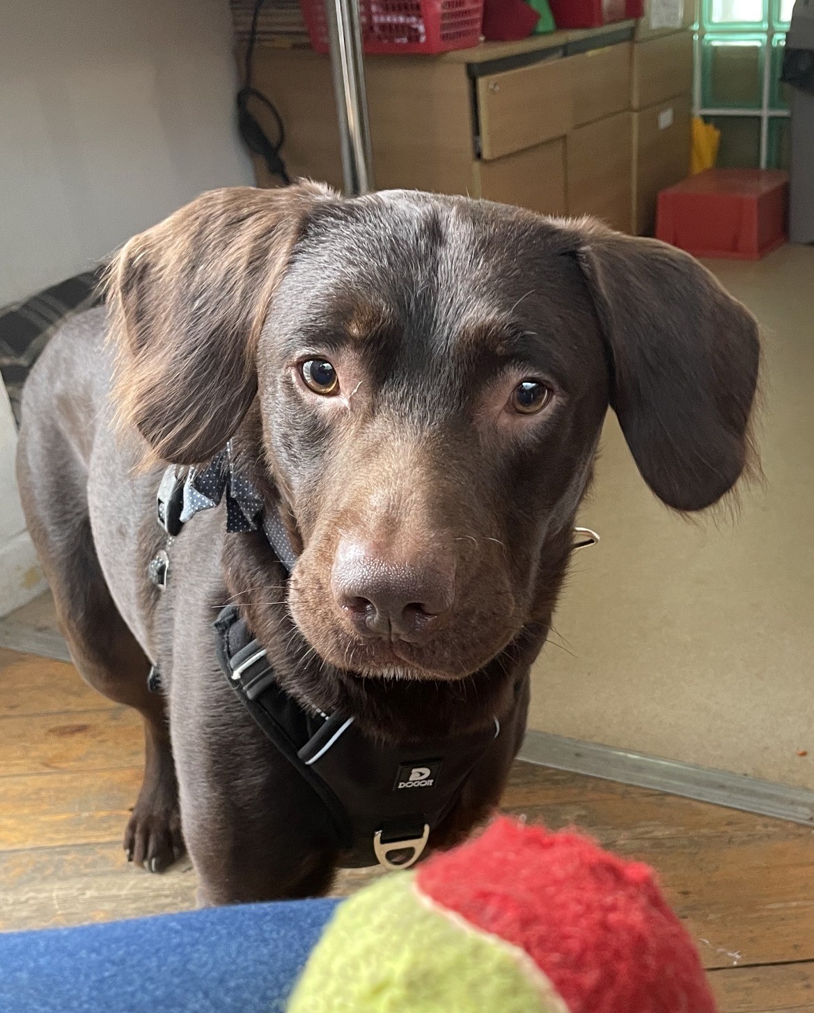 339101875_1970334386637887_1566200504924312513_n - Jurnalul Olteniei – Știri din Craiova și Oltenia