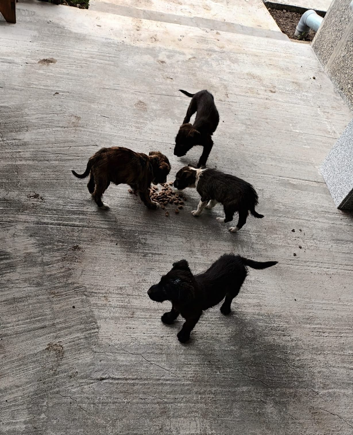 dc71bdad-bd41-48bf-b8fd-a6aa1861123d - Jurnalul Olteniei – Știri din Craiova și Oltenia