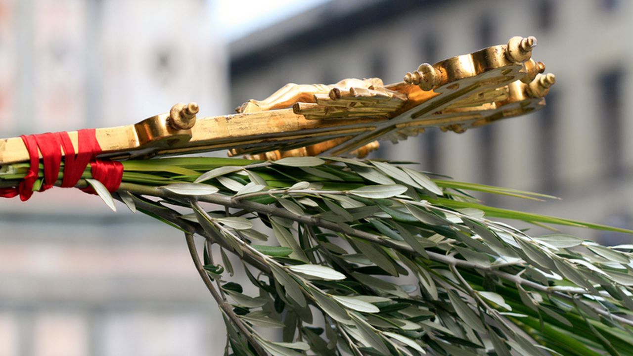 florii - Jurnalul Olteniei – Știri din Craiova și Oltenia florii