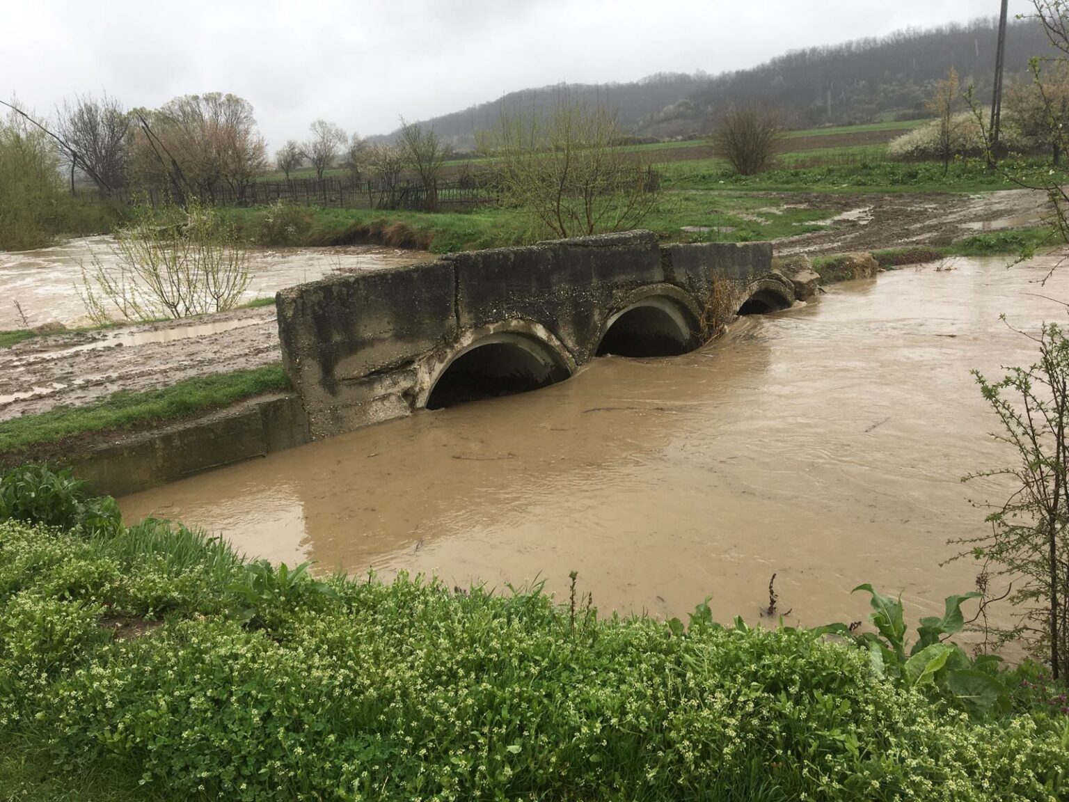 raznic la cornita - Jurnalul Olteniei – Știri din Craiova și Oltenia