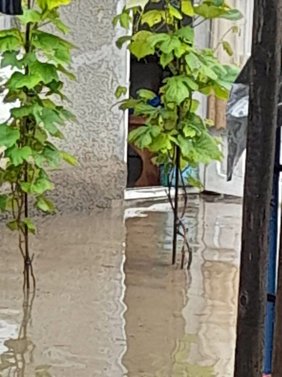 353186926_1024053632249076_3888742341741690387_n - Jurnalul Olteniei – Știri din Craiova și Oltenia