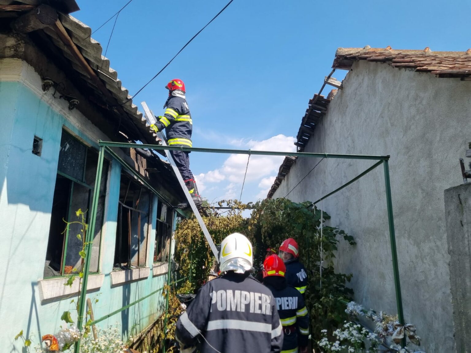 WhatsApp Image 2023-06-21 at 16.05.28 - Jurnalul Olteniei – Știri din Craiova și Oltenia