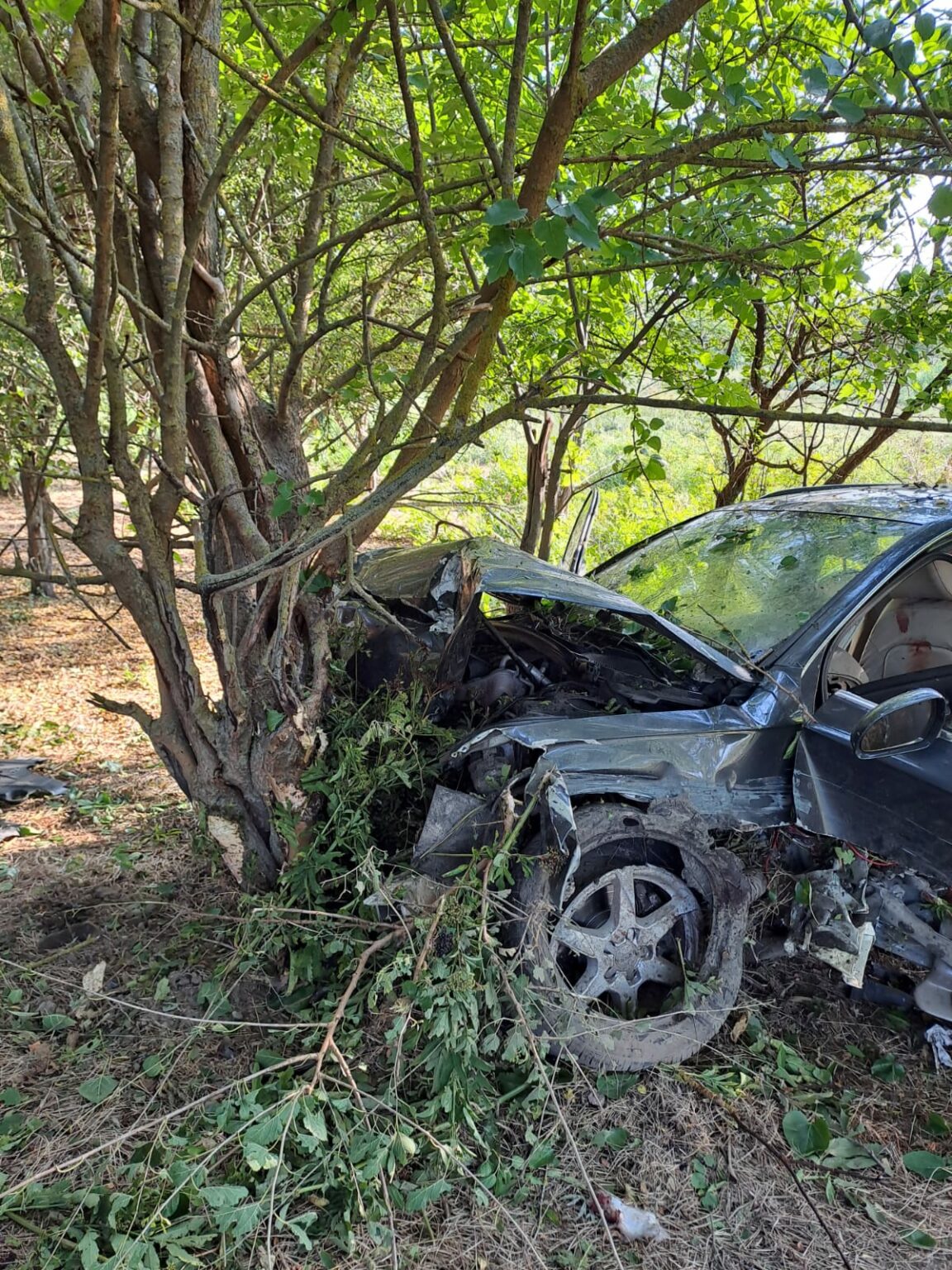 IMG-20230818-WA0004 - Jurnalul Olteniei – Știri din Craiova și Oltenia