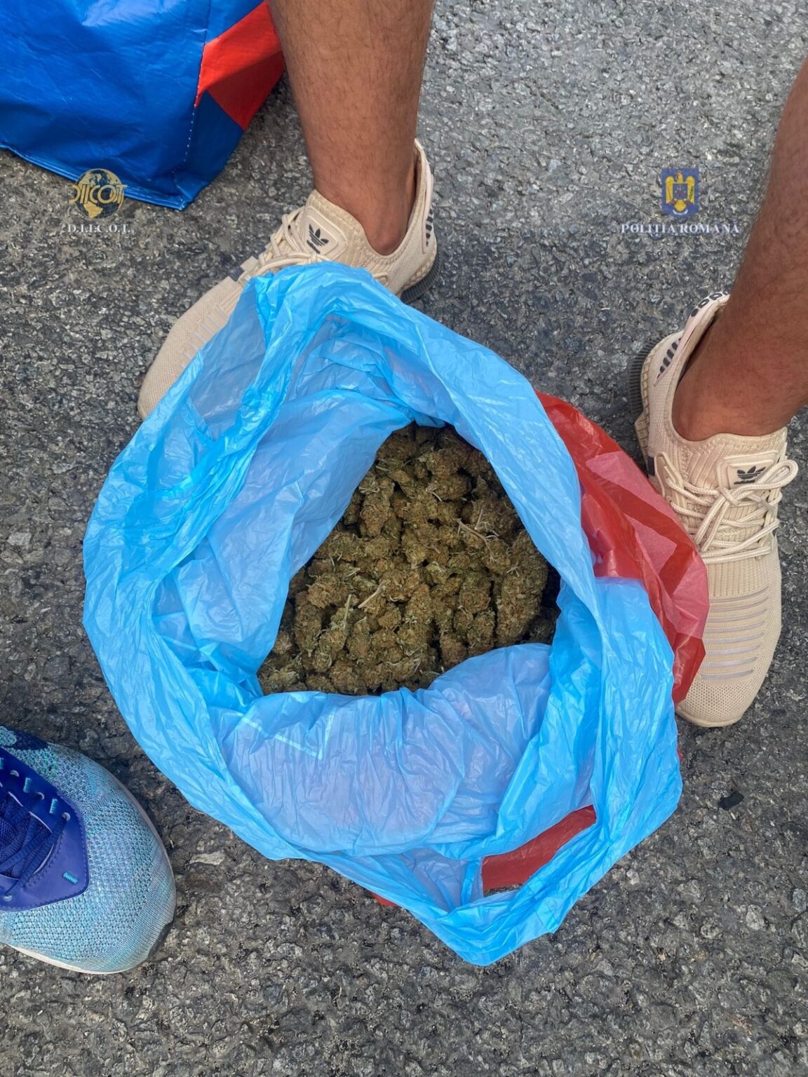 WhatsApp Image 2023-08-18 at 12.04.15 - Jurnalul Olteniei – Știri din Craiova și Oltenia