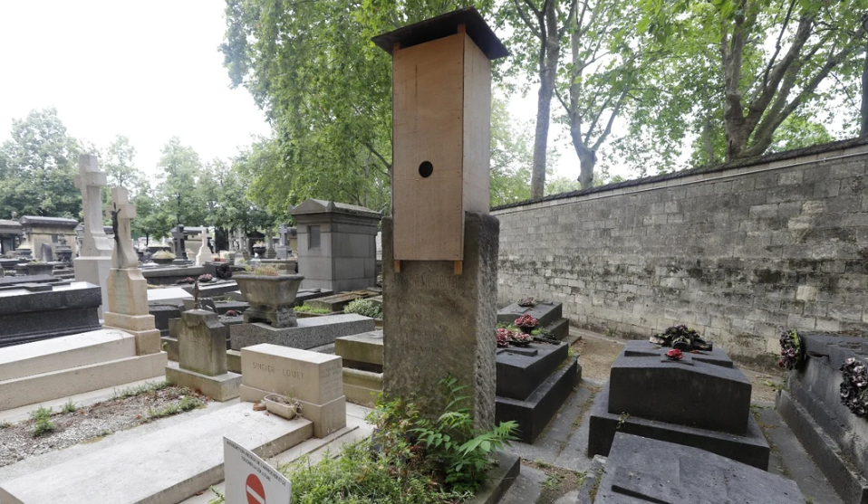 brancusi - Jurnalul Olteniei – Știri din Craiova și Oltenia