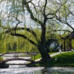 Grădina Botanică din Craiova