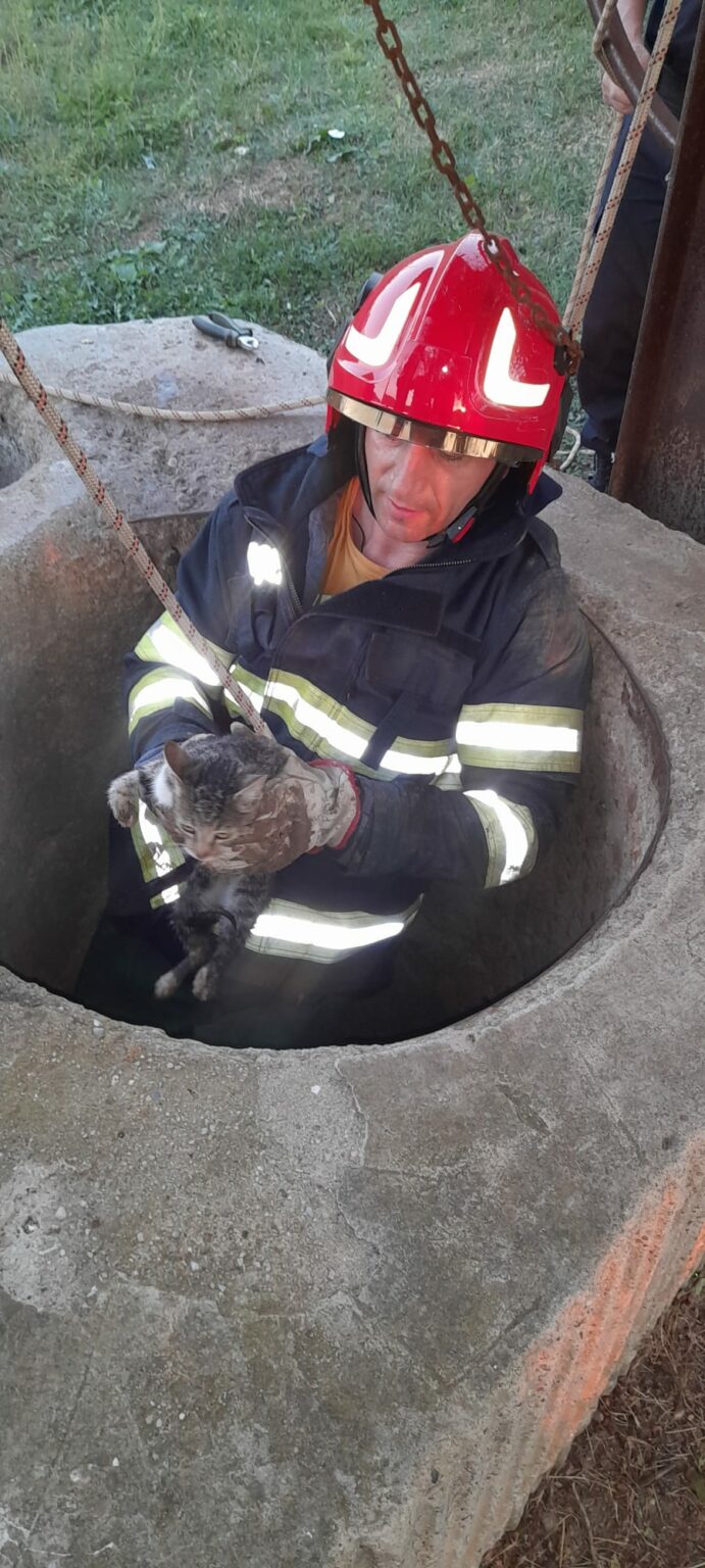 IMG-20230930-WA0032 - Jurnalul Olteniei – Știri din Craiova și Oltenia