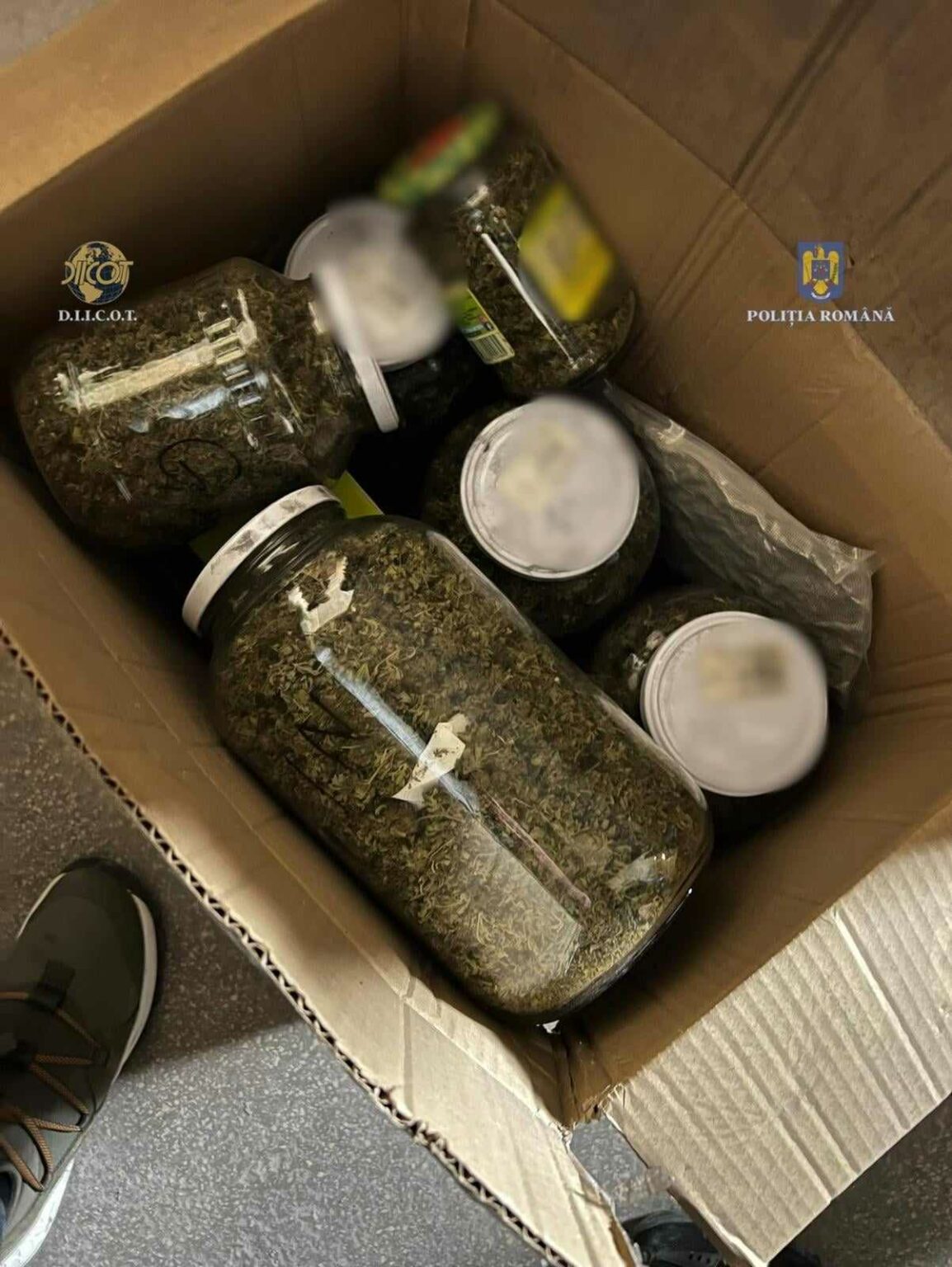 396258680_664027035713257_7811492117597663071_n - Jurnalul Olteniei – Știri din Craiova și Oltenia