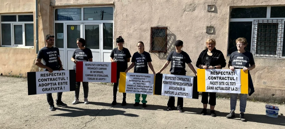 Capture - Jurnalul Olteniei – Știri din Craiova și Oltenia