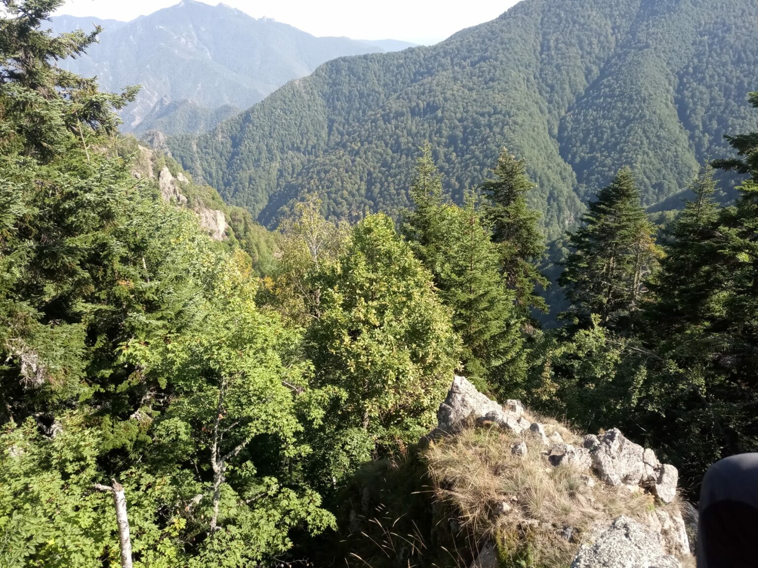 punct rosu brezoi - Jurnalul Olteniei – Știri din Craiova și Oltenia