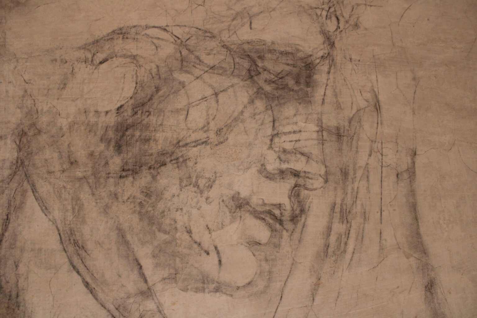 397120540_893122938837189_1152748843051097977_n - Jurnalul Olteniei – Știri din Craiova și Oltenia