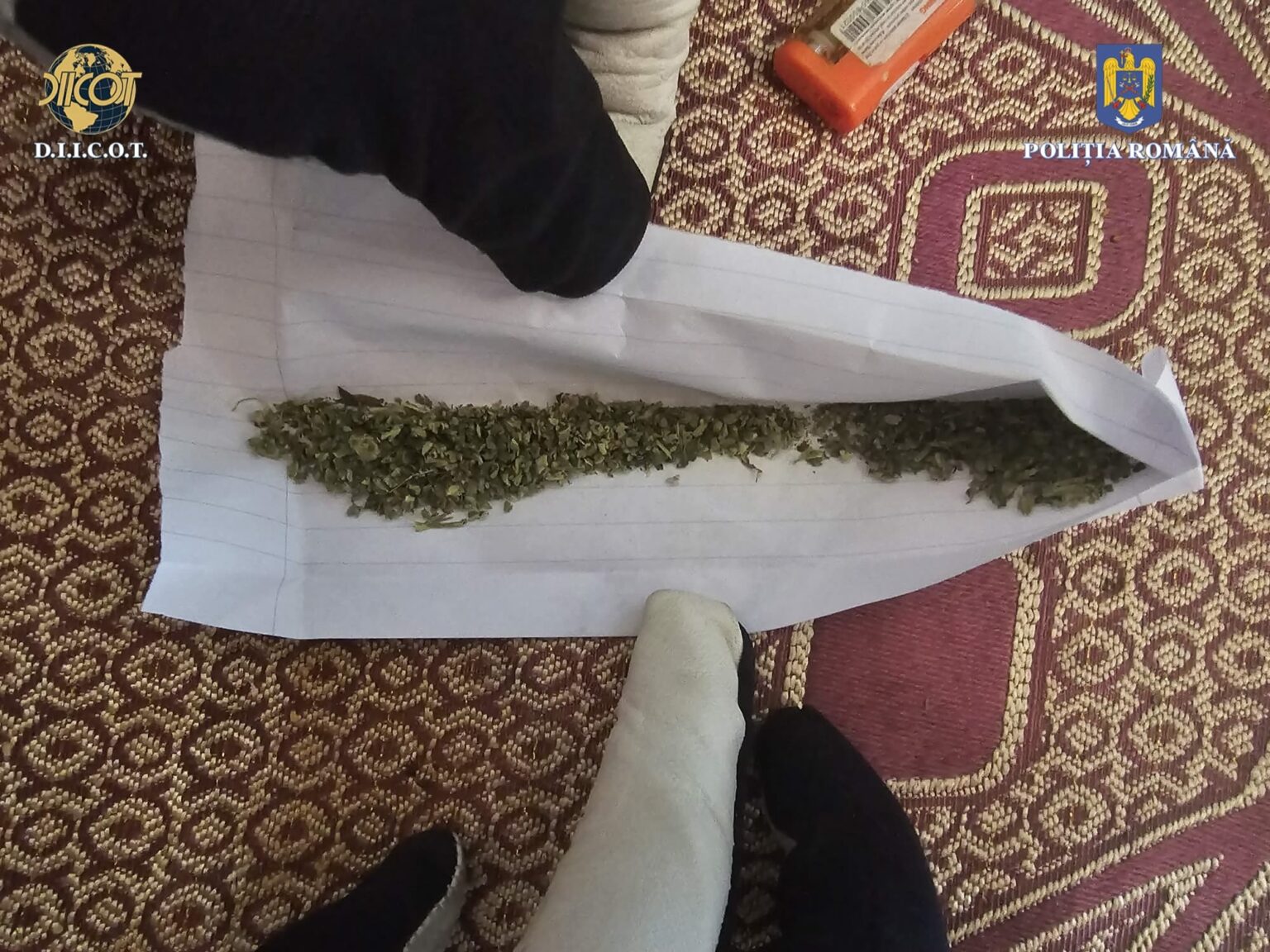 WhatsApp Image 2023-11-19 at 13.12.21 - Jurnalul Olteniei – Știri din Craiova și Oltenia