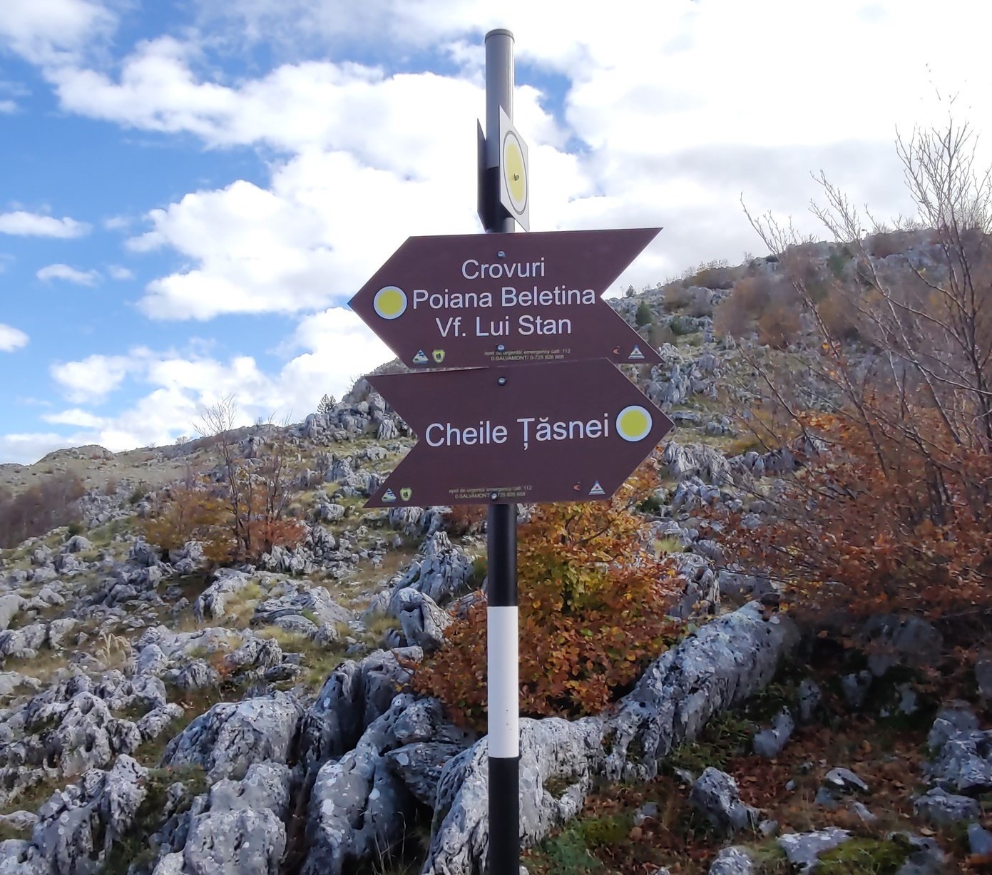 - Jurnalul Olteniei – Știri din Craiova și Oltenia