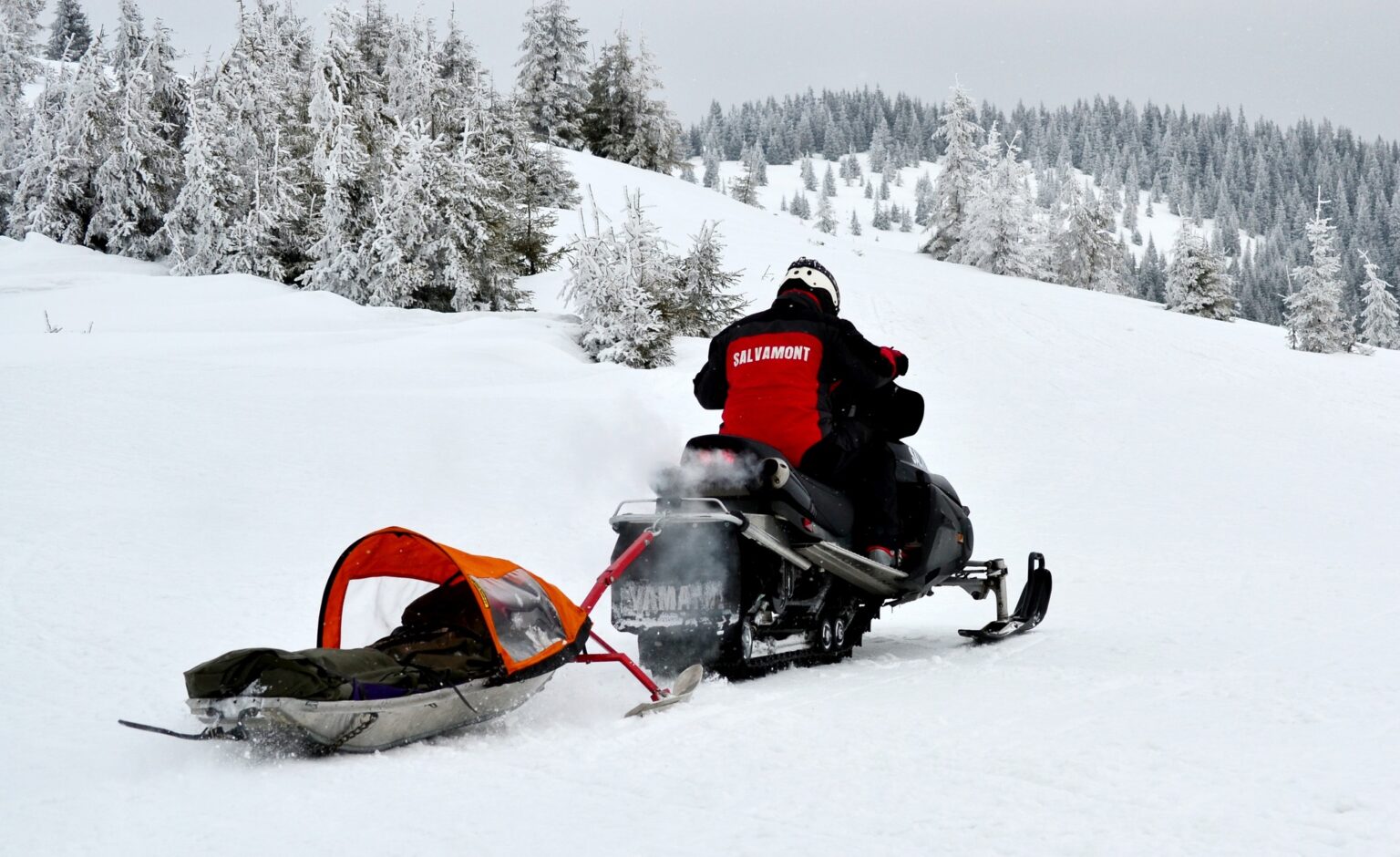 - Jurnalul Olteniei – Știri din Craiova și Oltenia