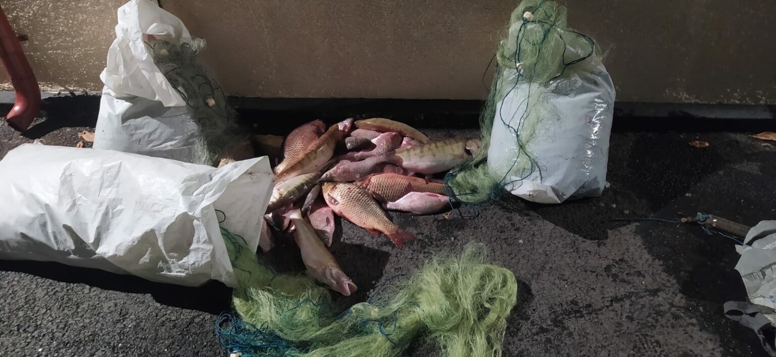 WhatsApp Image 2023-12-20 at 08.39.38 - Jurnalul Olteniei – Știri din Craiova și Oltenia