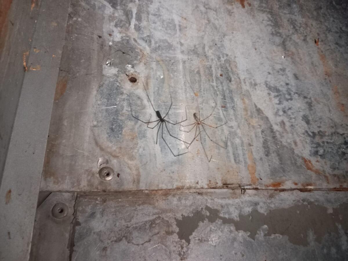 44aebf70af790aee3862066d557f8b2cfc46185a - Jurnalul Olteniei – Știri din Craiova și Oltenia