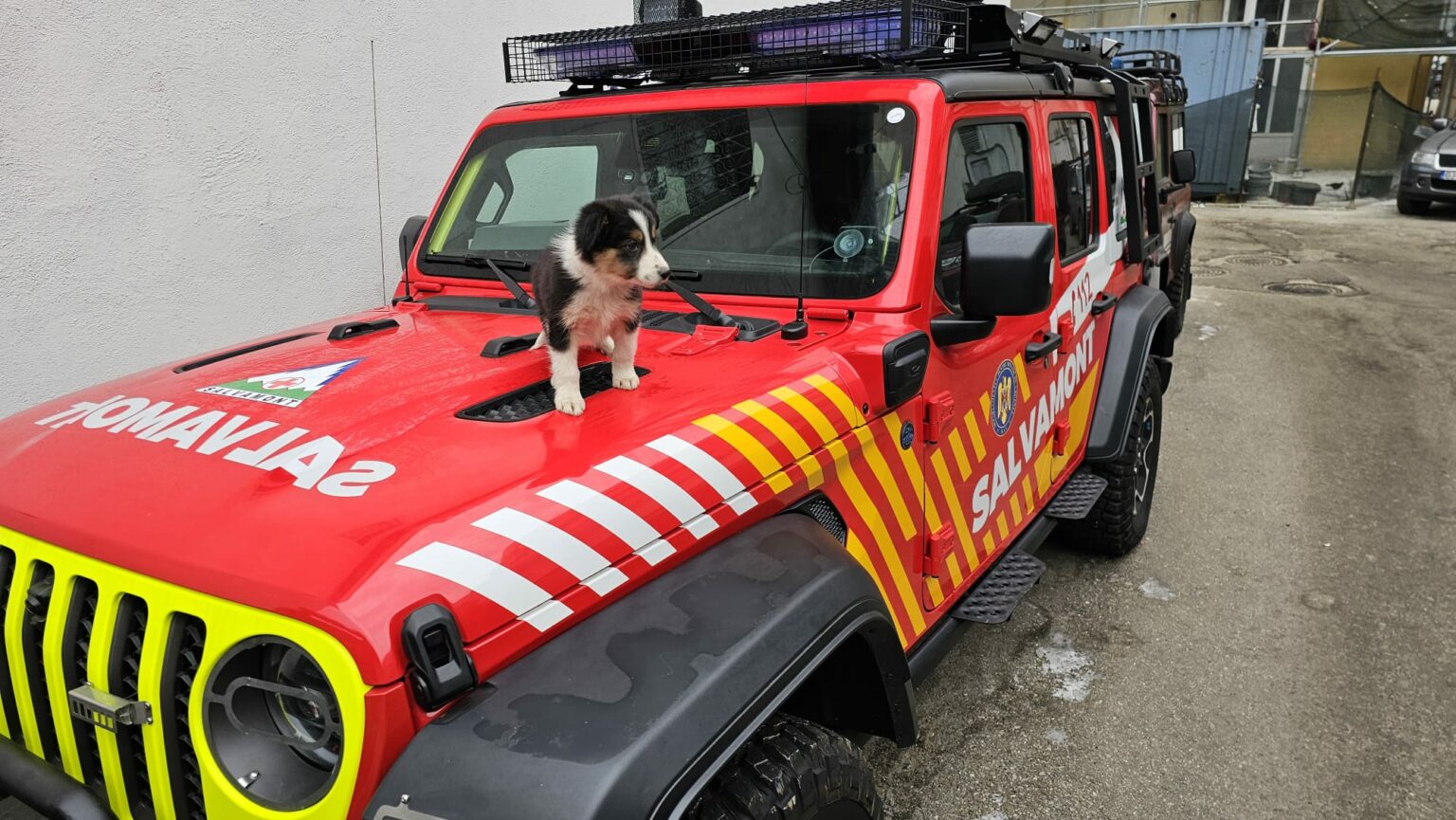 IMG-20240122-WA0000 - Jurnalul Olteniei – Știri din Craiova și Oltenia