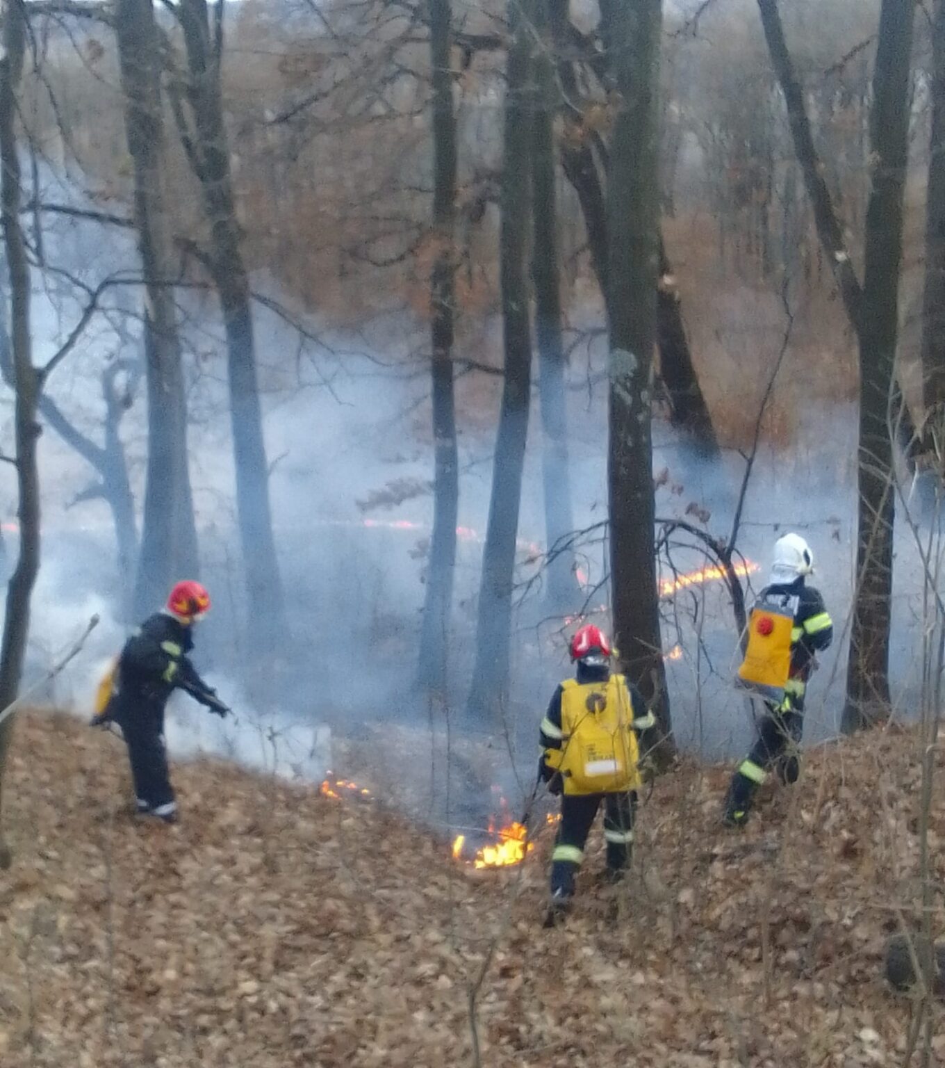 WhatsApp Image 2024-01-03 at 14.25.55 - Jurnalul Olteniei – Știri din Craiova și Oltenia