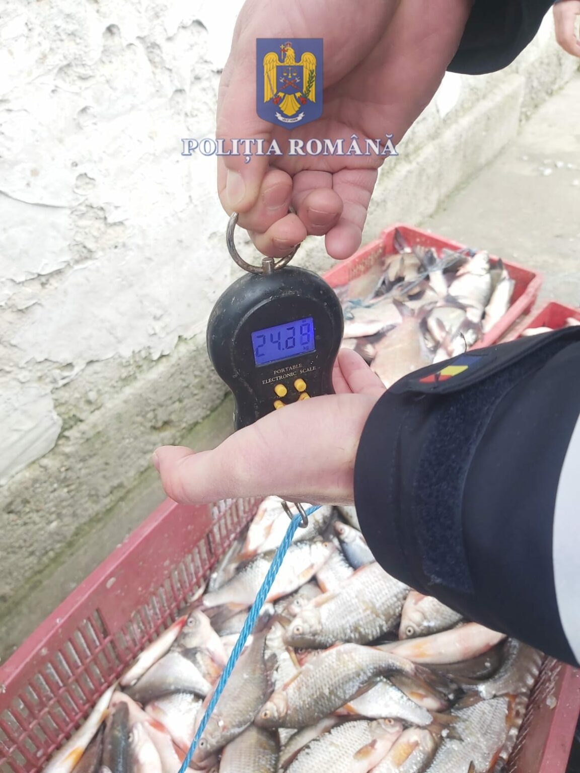 braconaj piscicol - Jurnalul Olteniei – Știri din Craiova și Oltenia