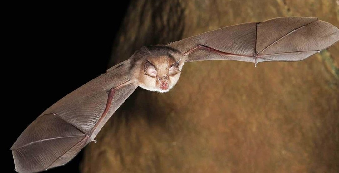 420100997_921730945952554_1880082830745954210_n - Jurnalul Olteniei – Știri din Craiova și Oltenia