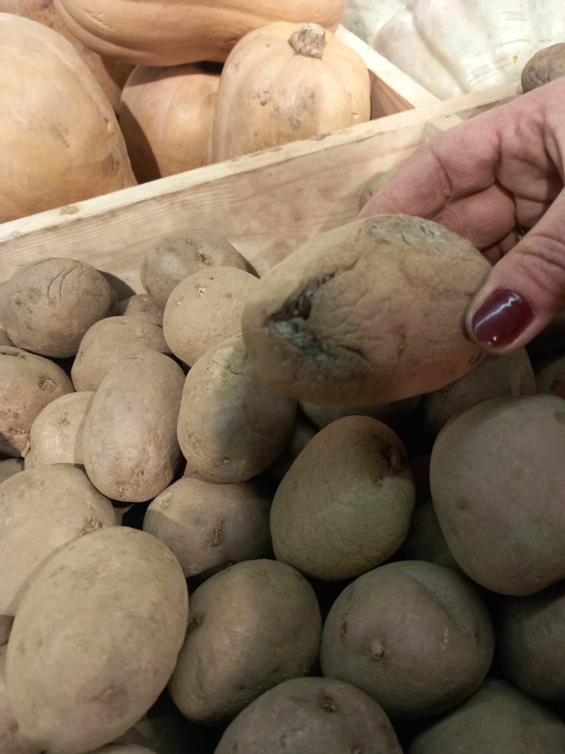 IMG-20240202-WA0049 - Jurnalul Olteniei – Știri din Craiova și Oltenia