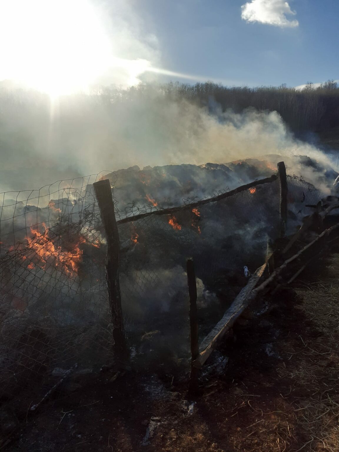 IMG-20240203-WA0009 - Jurnalul Olteniei – Știri din Craiova și Oltenia