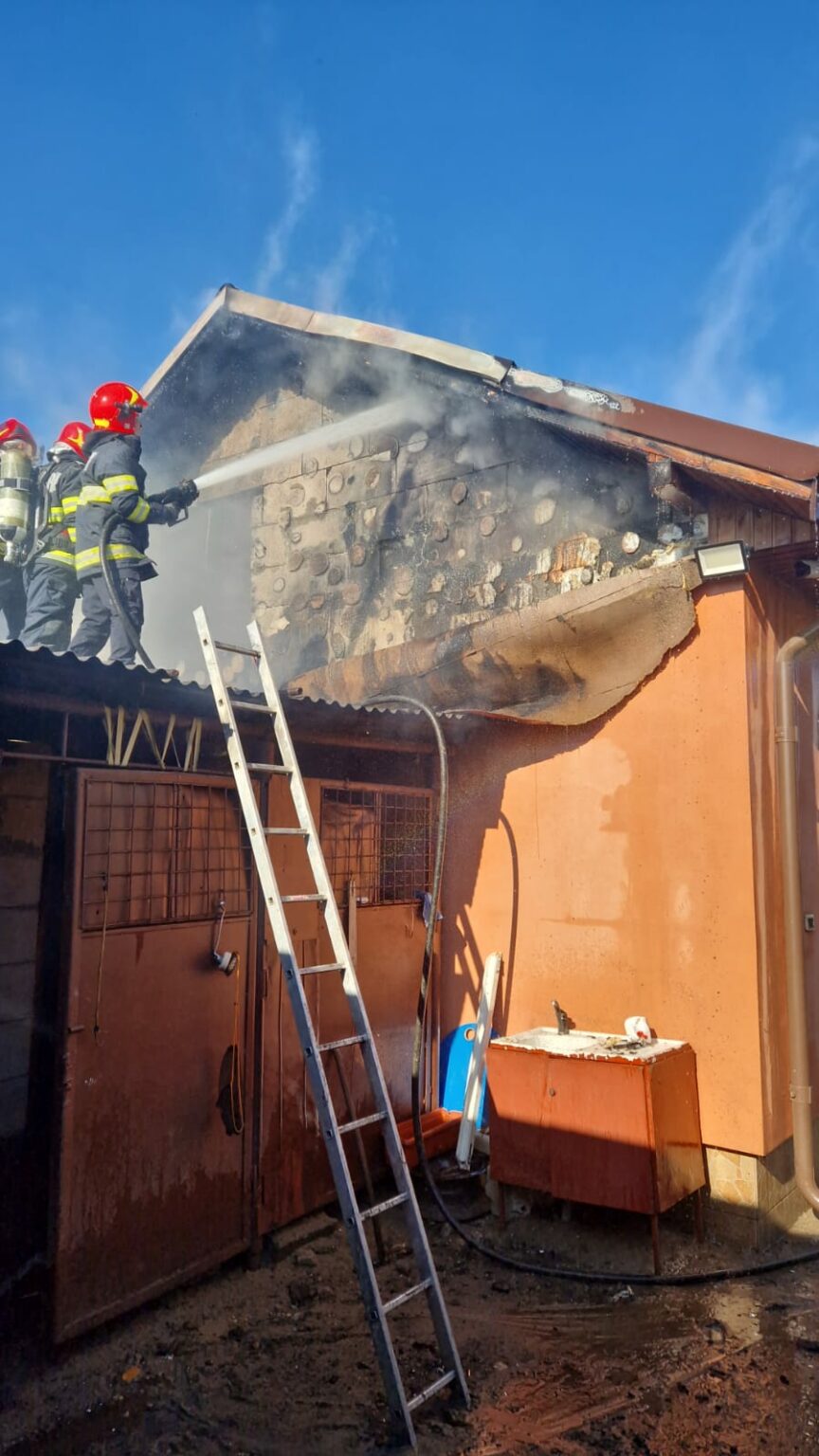 WhatsApp Image 2024-02-03 at 14.21.15 - Jurnalul Olteniei – Știri din Craiova și Oltenia