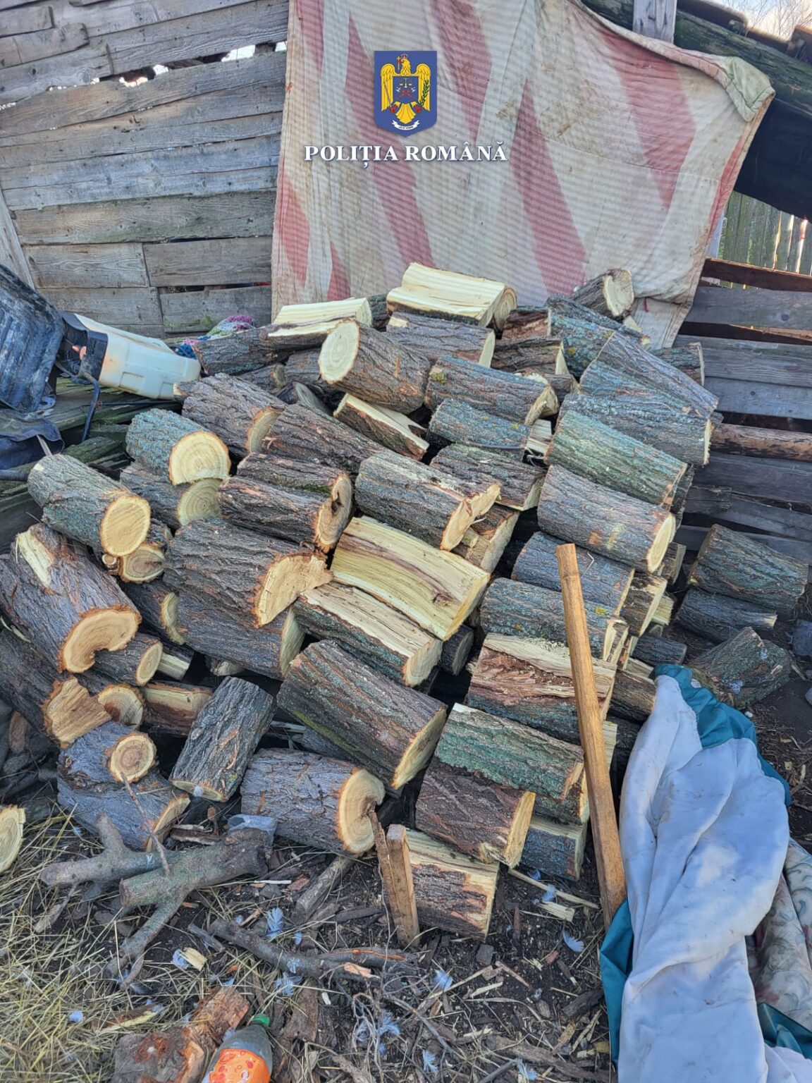 WhatsApp Image 2024-02-03 at 15.54.17 - Jurnalul Olteniei – Știri din Craiova și Oltenia