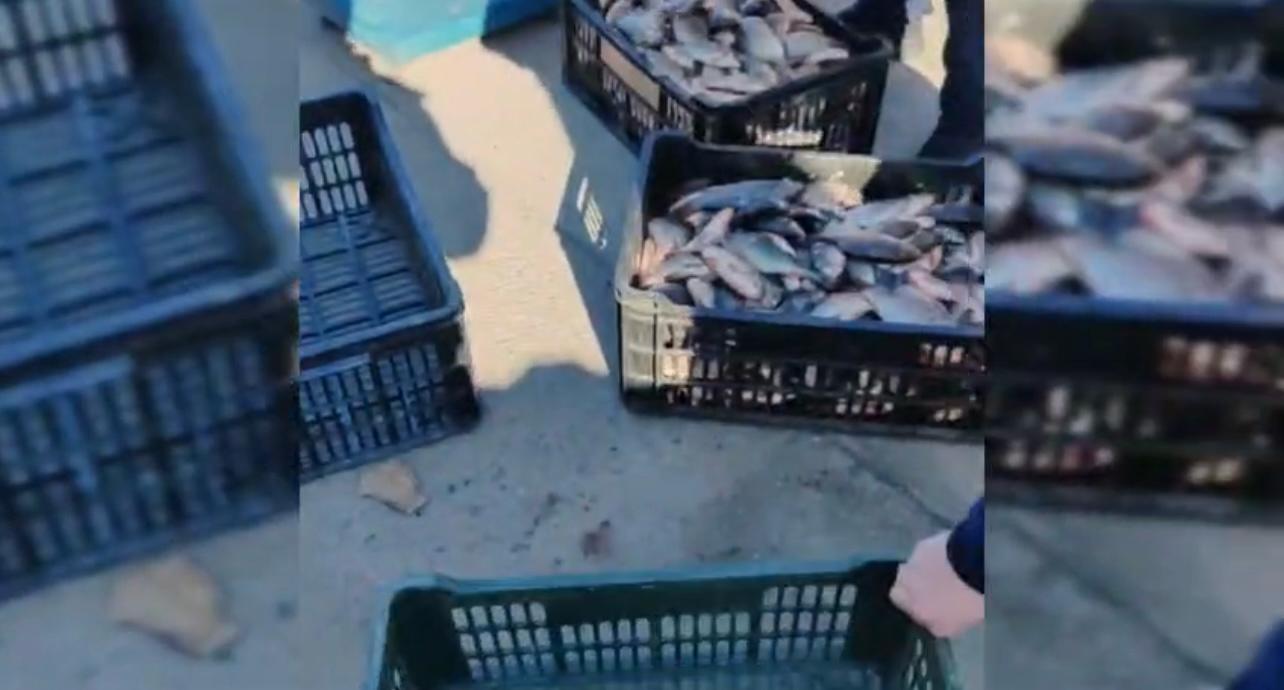 - Jurnalul Olteniei – Știri din Craiova și Oltenia