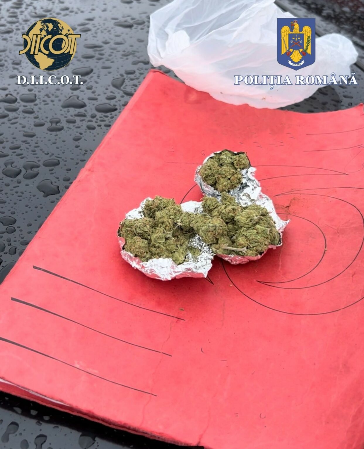 - Jurnalul Olteniei – Știri din Craiova și Oltenia