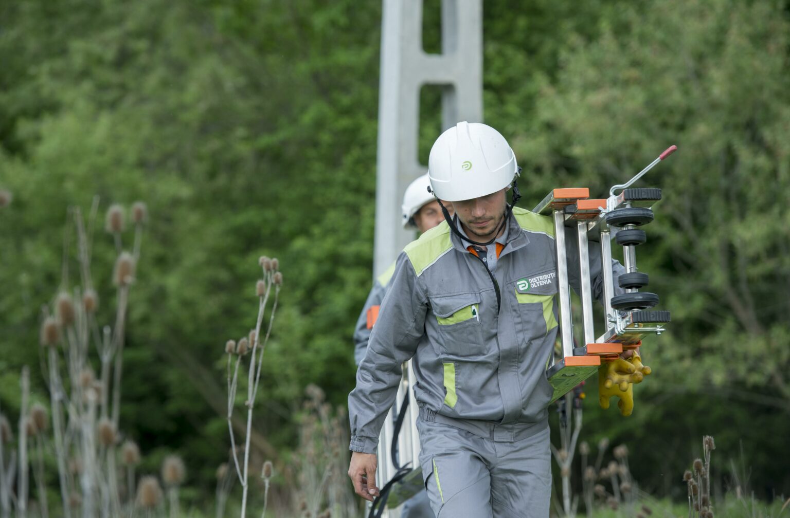 - Jurnalul Olteniei – Știri din Craiova și Oltenia