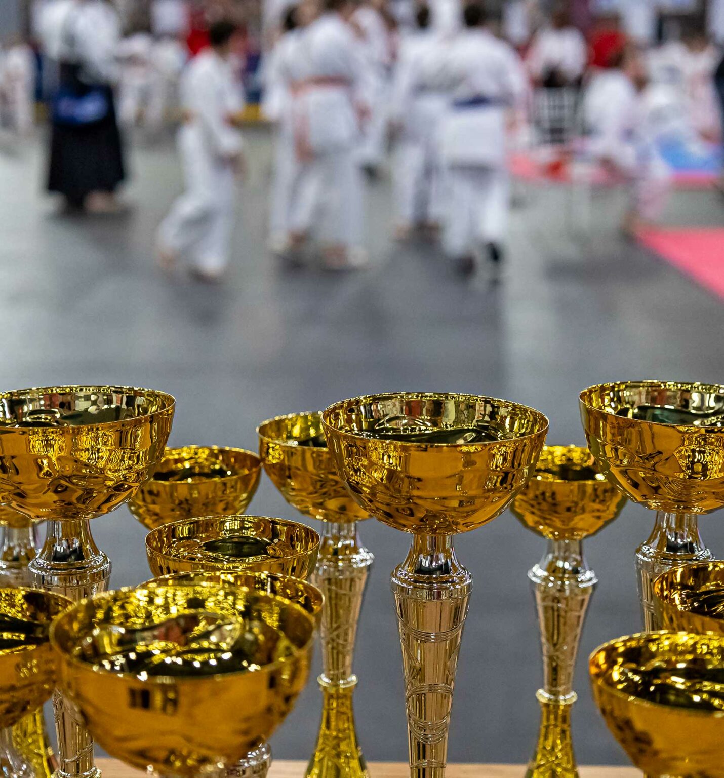 420222474_992593852225261_7863679586135205921_n - Jurnalul Olteniei – Știri din Craiova și Oltenia