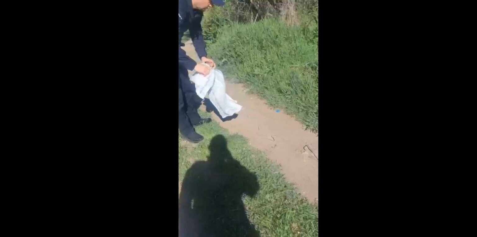 - Jurnalul Olteniei – Știri din Craiova și Oltenia