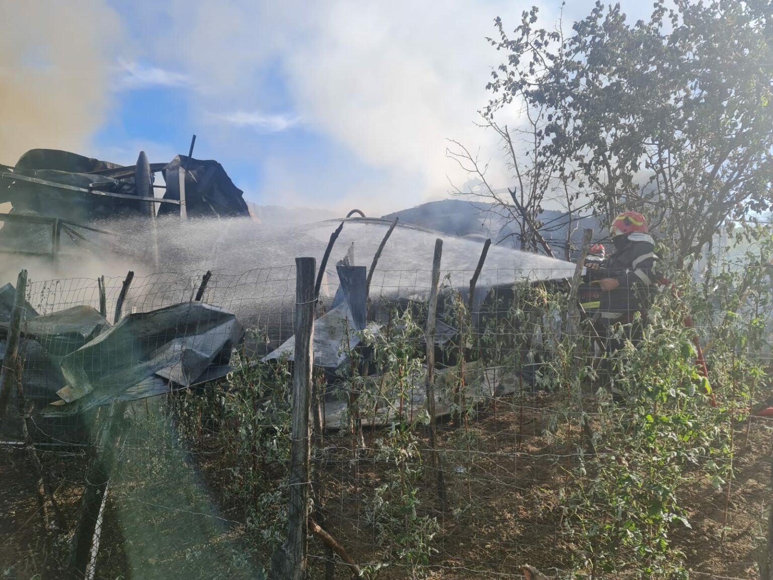 WhatsApp Image 2024-04-15 at 10.08.31 - Jurnalul Olteniei – Știri din Craiova și Oltenia